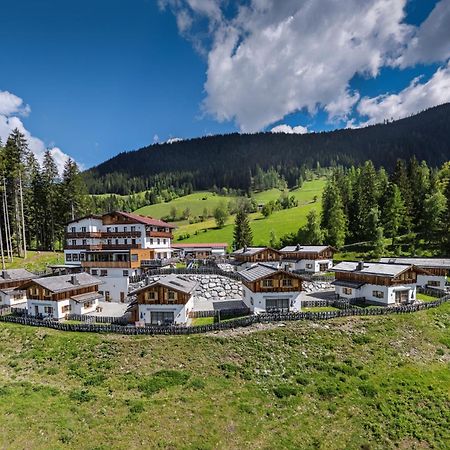 Das Eulersberg Apartments & Chalets Верфенвенг Екстериор снимка