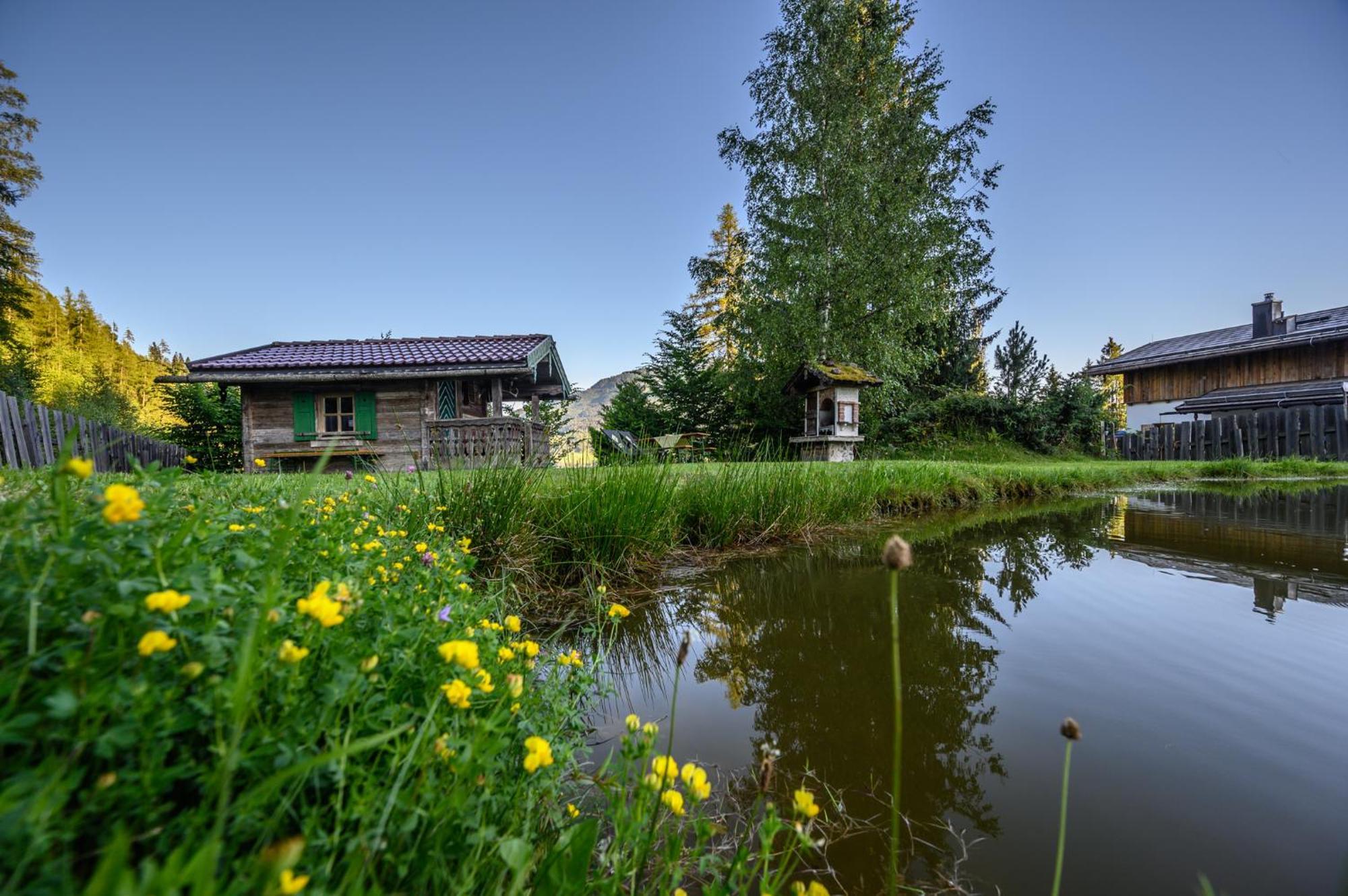 Das Eulersberg Apartments & Chalets Верфенвенг Екстериор снимка